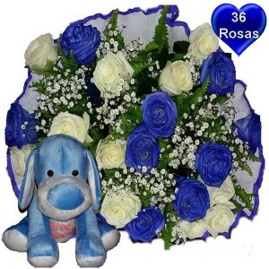 Buquê 36 rosas Azuis e Brancas + Cachorro Azul Te Amo