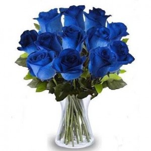 Arranjo no Vaso P com  12 Rosas Azuis