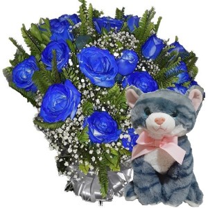 Buquê com 12 Rosas Azuis+ Gatinha Cinza 25cm