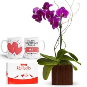 Orquídea Phalaenopsis lilás+Chocolate Rafaello 9un+1caneca exclusiva da melhor mãe