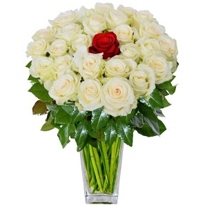 Arranjo no Vaso G com 24 Rosas Brancas e 1 Vermelha