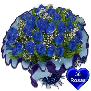 Buquê com 36 Rosas Azuis