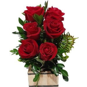 Ikebana com 6 Rosas Vermelhas