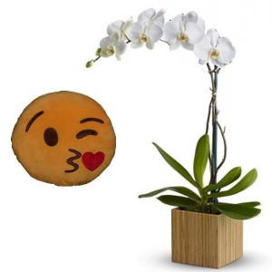 Orquídea Branca + Almofada Emoji do Beijo 28cm